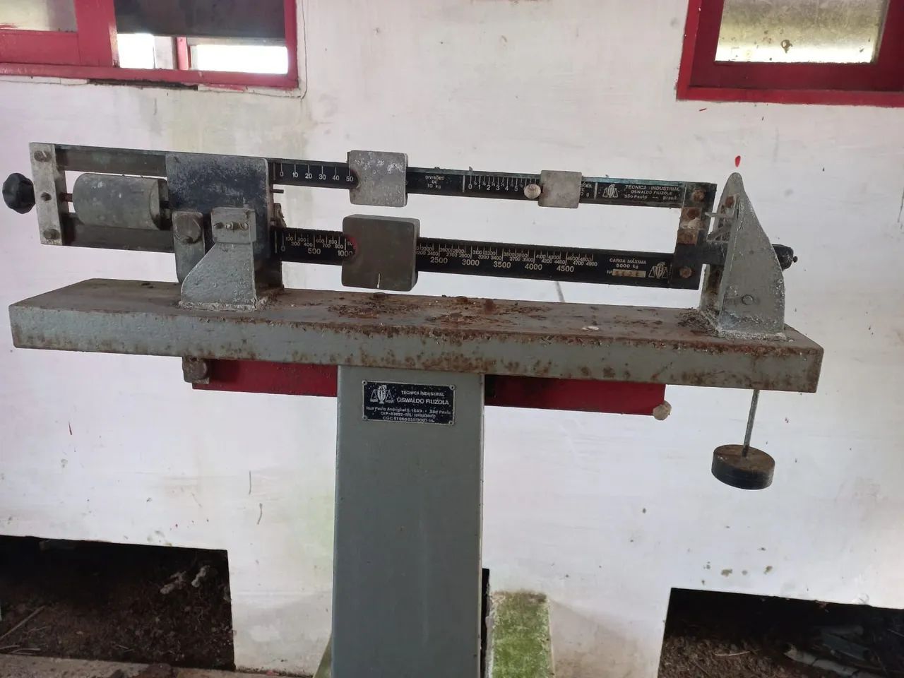 Balança bovina - Foto 2