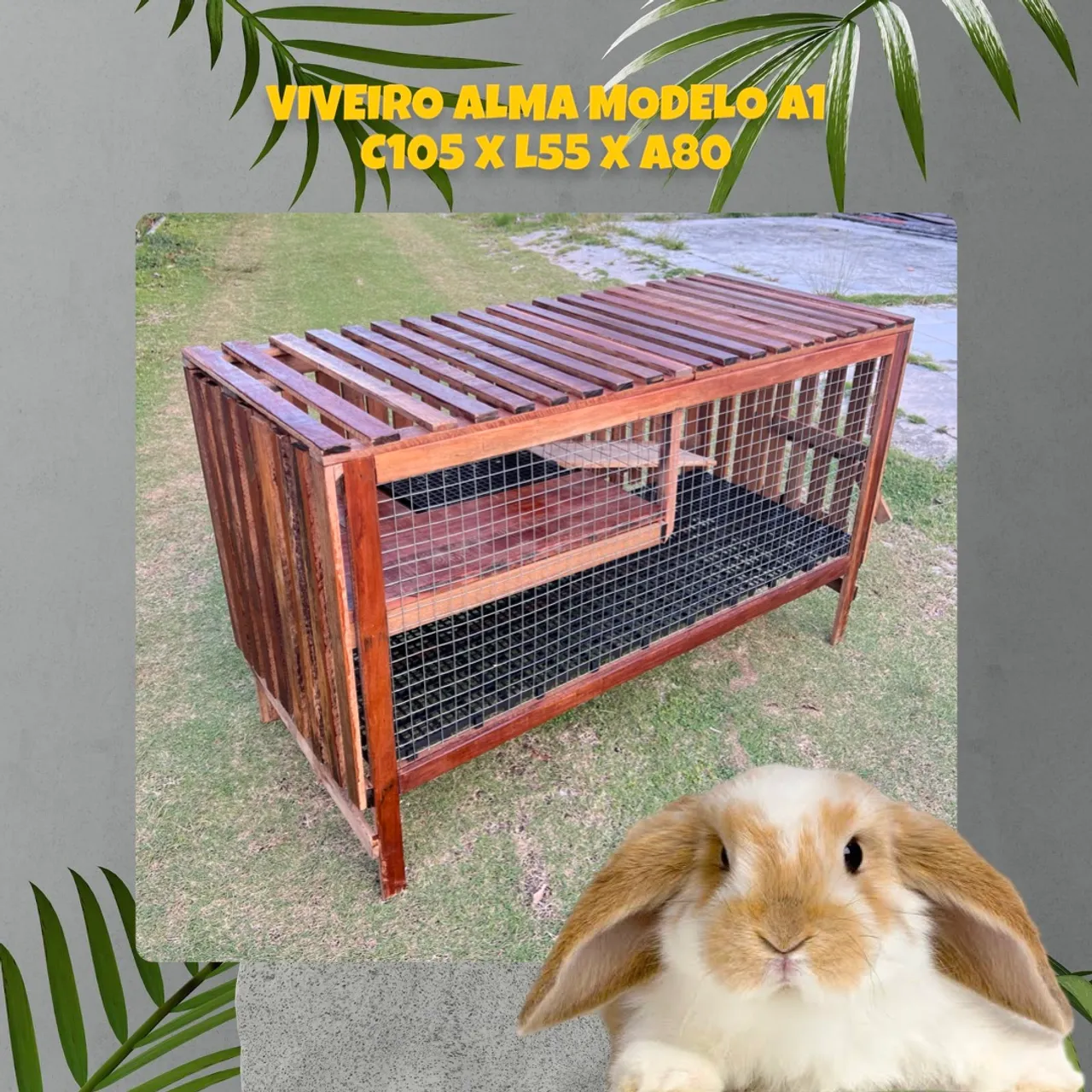 Viveiro Alma Modelo A1 - C105 x L55 x A80