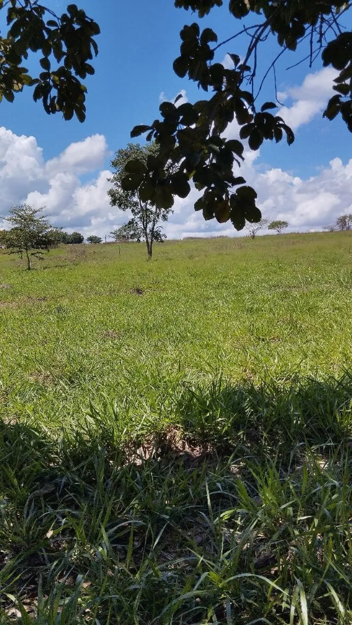 Sítio 33 hectares