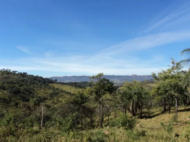 Mateus Leme - Terreno - 20.000 m² - R$ 20.000,00 de entrada - Foto 5