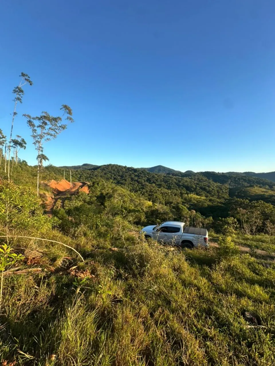 Chácara em Santo Amaro da Imperatriz 5.000 m²