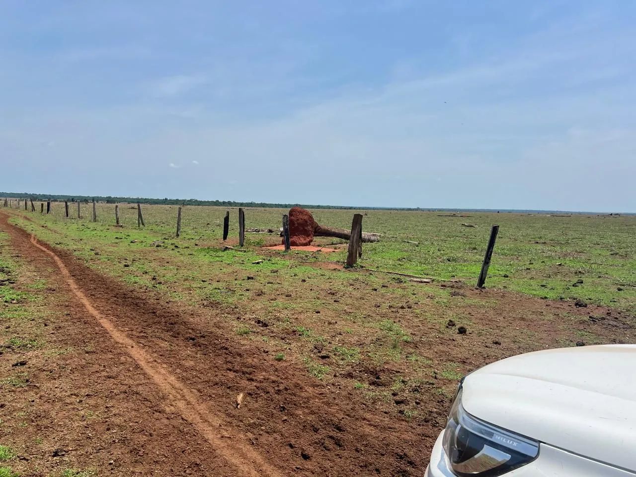 Fazenda arrendamento 925hec em pasto, na região dos baianos MT.  - Foto 9
