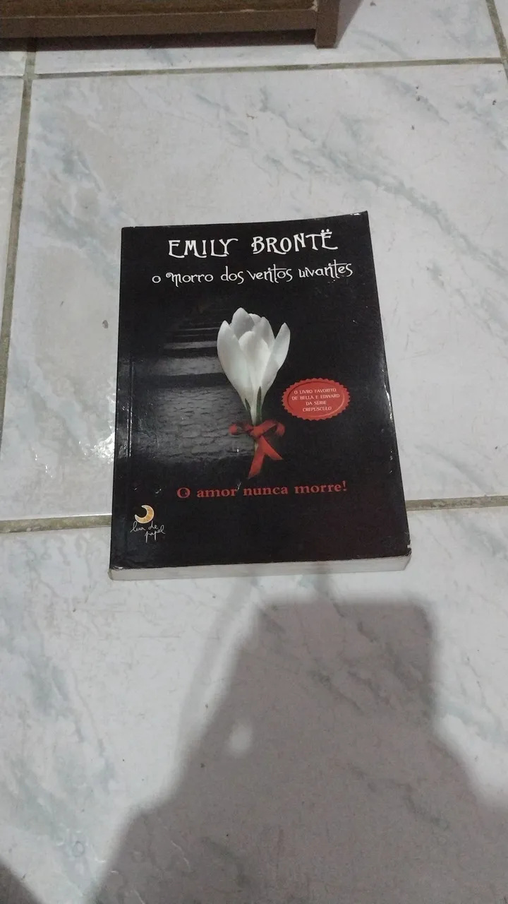 O Morro dos Ventos Uivantes - Emily Brontë