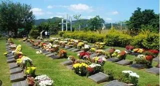 Terreno  cemitério jardim da saudade, fazendinha, quadra 3 - Foto 4