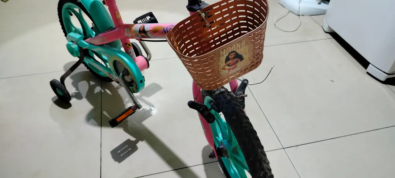 Bicicleta Infantil Moana - Rosa e Azul