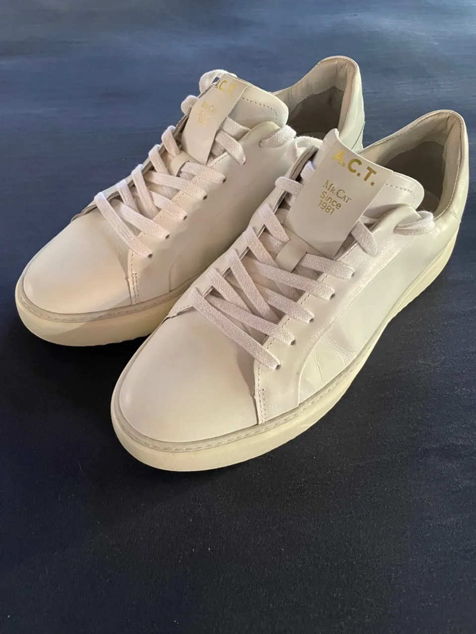Tênis Couro Mr. Cat Original Nº 40