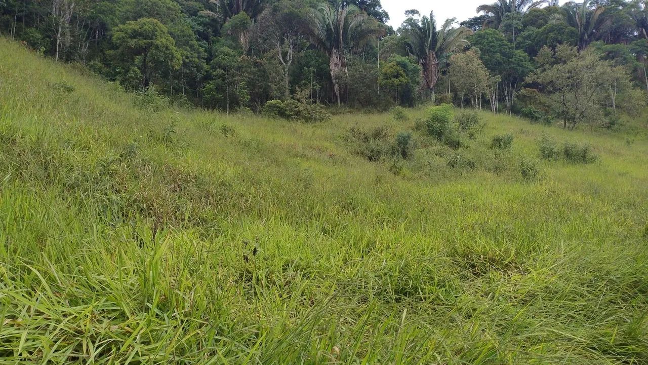 MARECHAL FLORIANO  - Foto 5