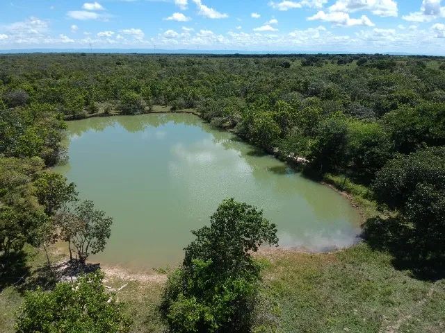 147 Hectares Fazenda - GO 114, Flores de Goias - GO Brasil - Foto 3