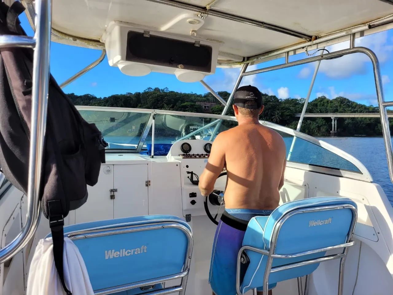Wellcraft WA 260 - Foto 4