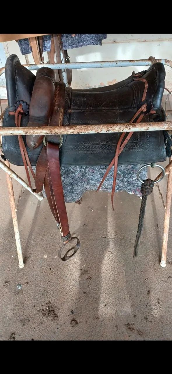 Arreio completo  - Foto 4