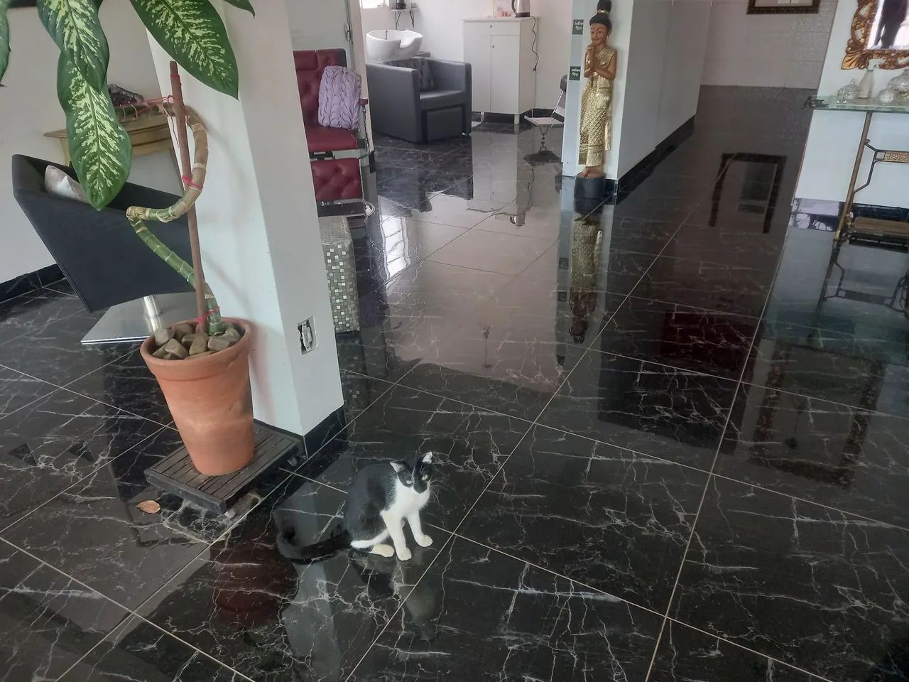 Vendo um sobrado e uma casa, ideal para comércio no centro de Campo Grande MS  - Foto 4