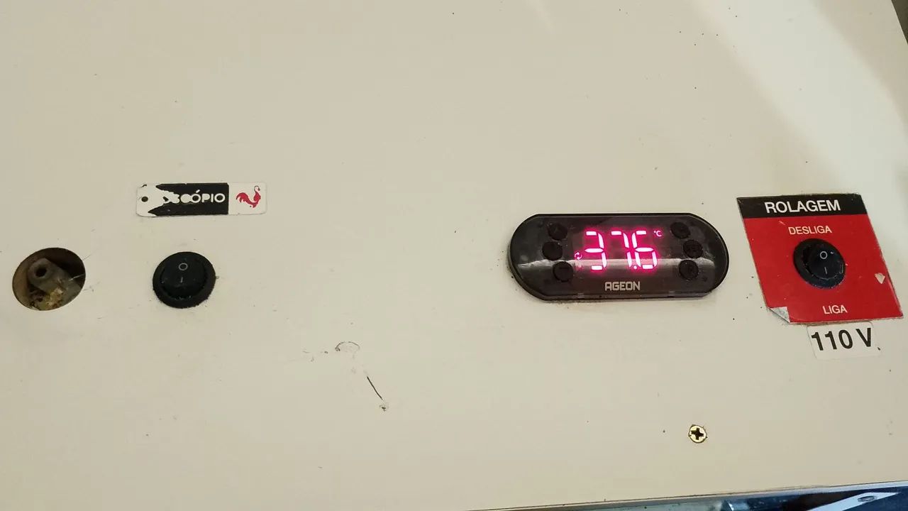 Vendo ou Troco Chocadeira63824580486145122