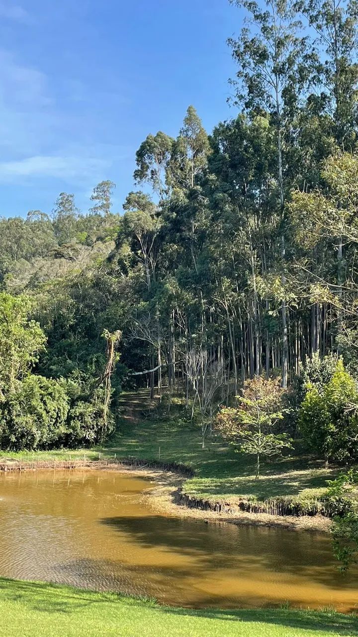 Lotes de 1.000m² em localização estratégica no KM 79 da Raposo Tavares