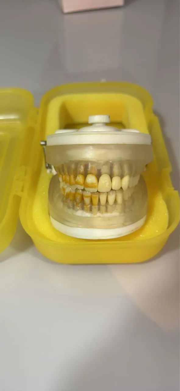 Manequim pronew periodontia - Foto 2