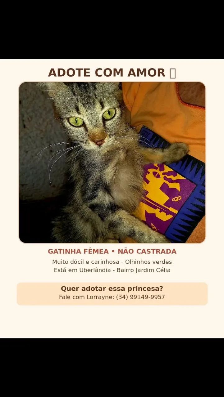 Doação dos animais  - Foto 4