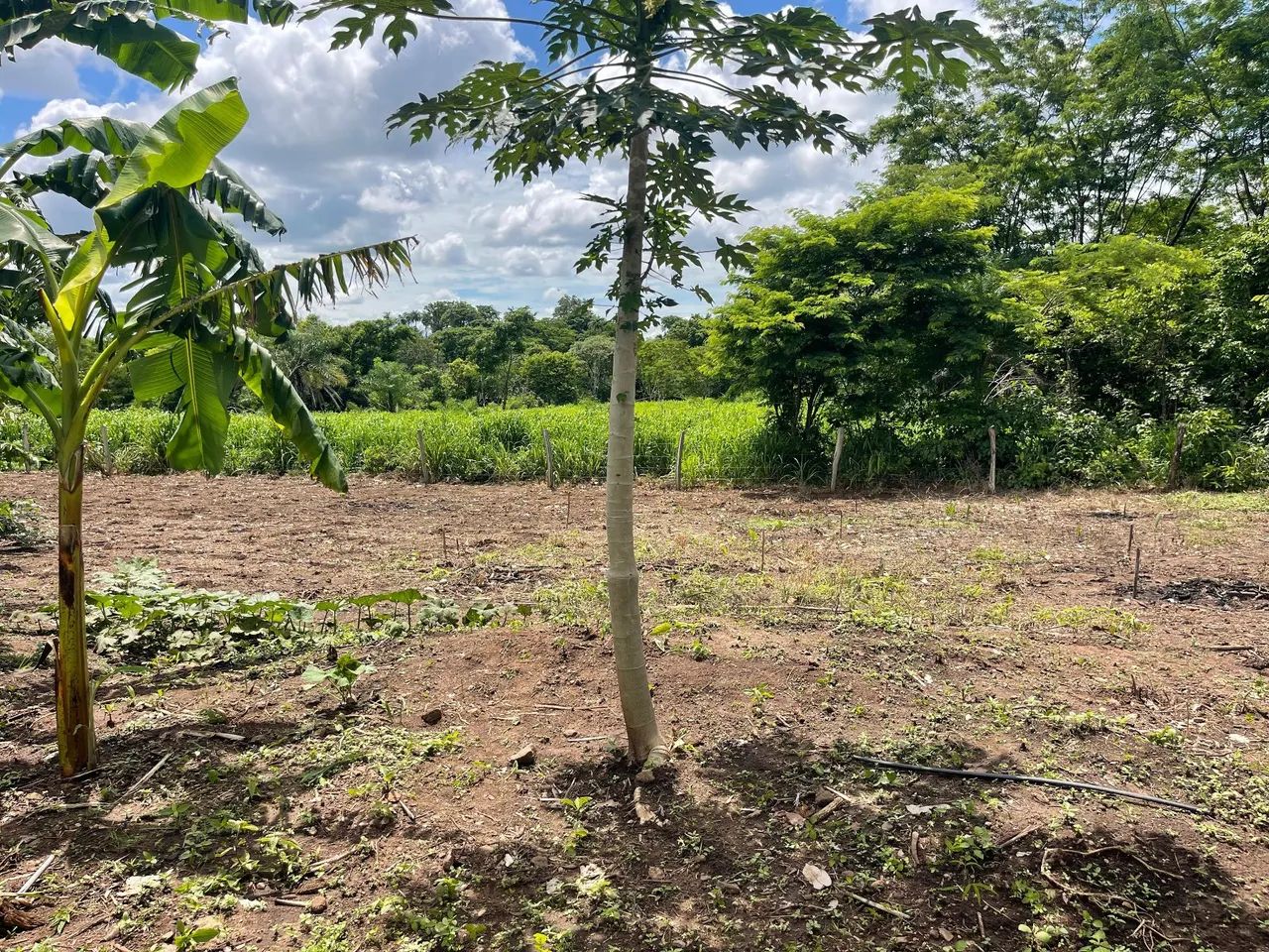 Foto - Palmas - Plano Diretor Sul