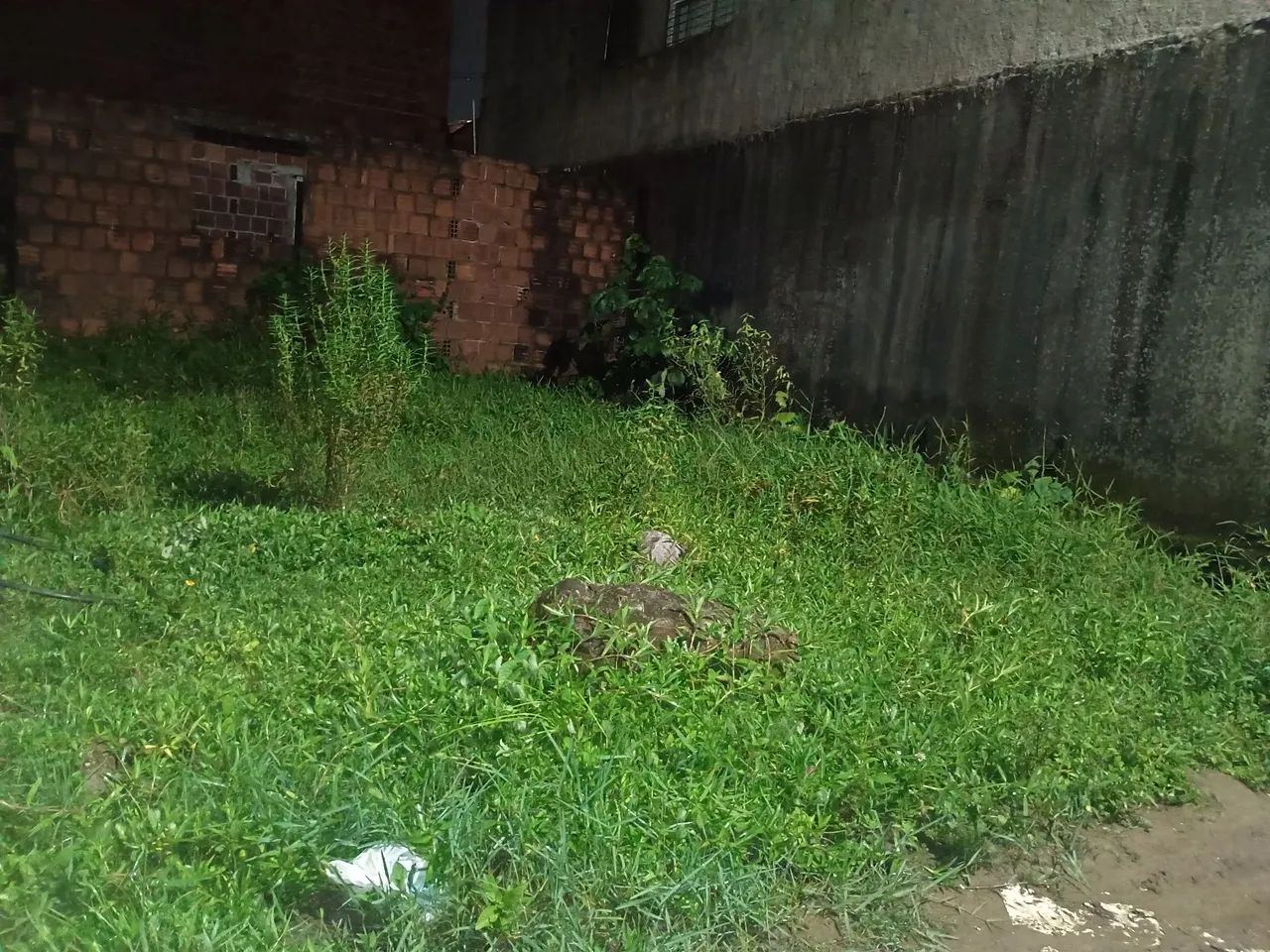 Terreno em Nova Morada  - Foto 2