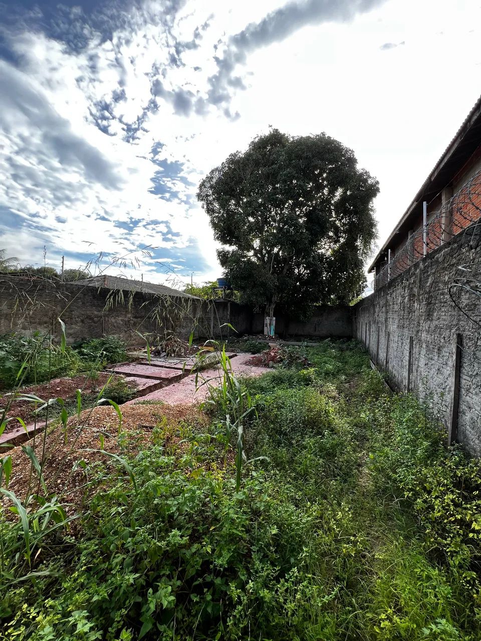 Vendo Terreno Não Titulado Barato - Foto 2