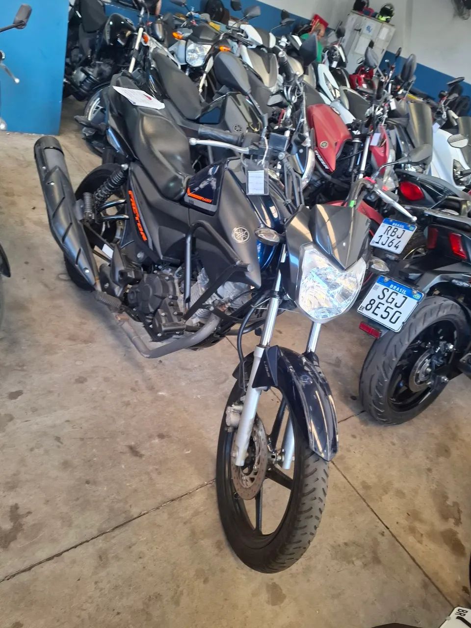 Yamaha Factor 2024