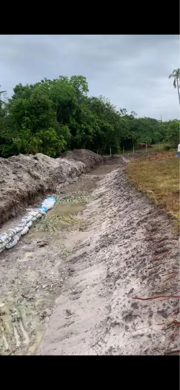 Foto - Conde - 