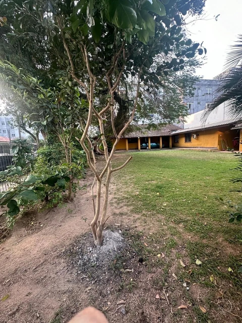 Terreno com 353 m² no Córrego Grande - Foto 2
