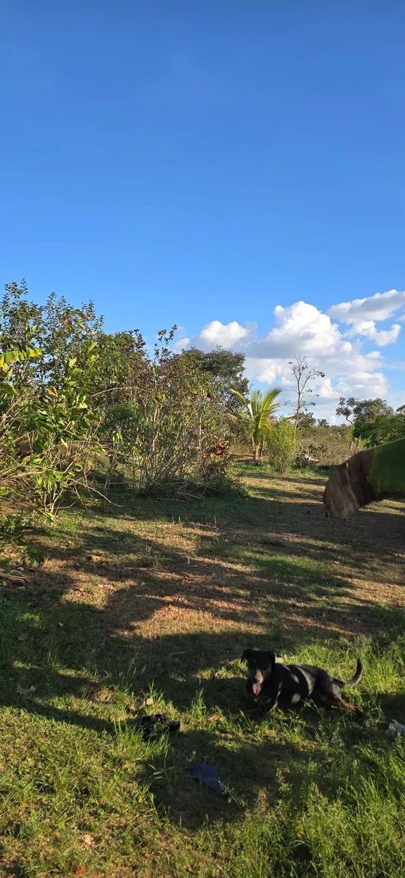 Alugo casa em chácara  - Foto 2