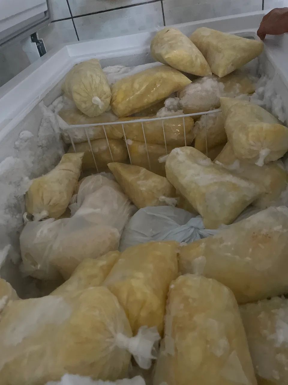 Vendo poupa de cupuaçu 