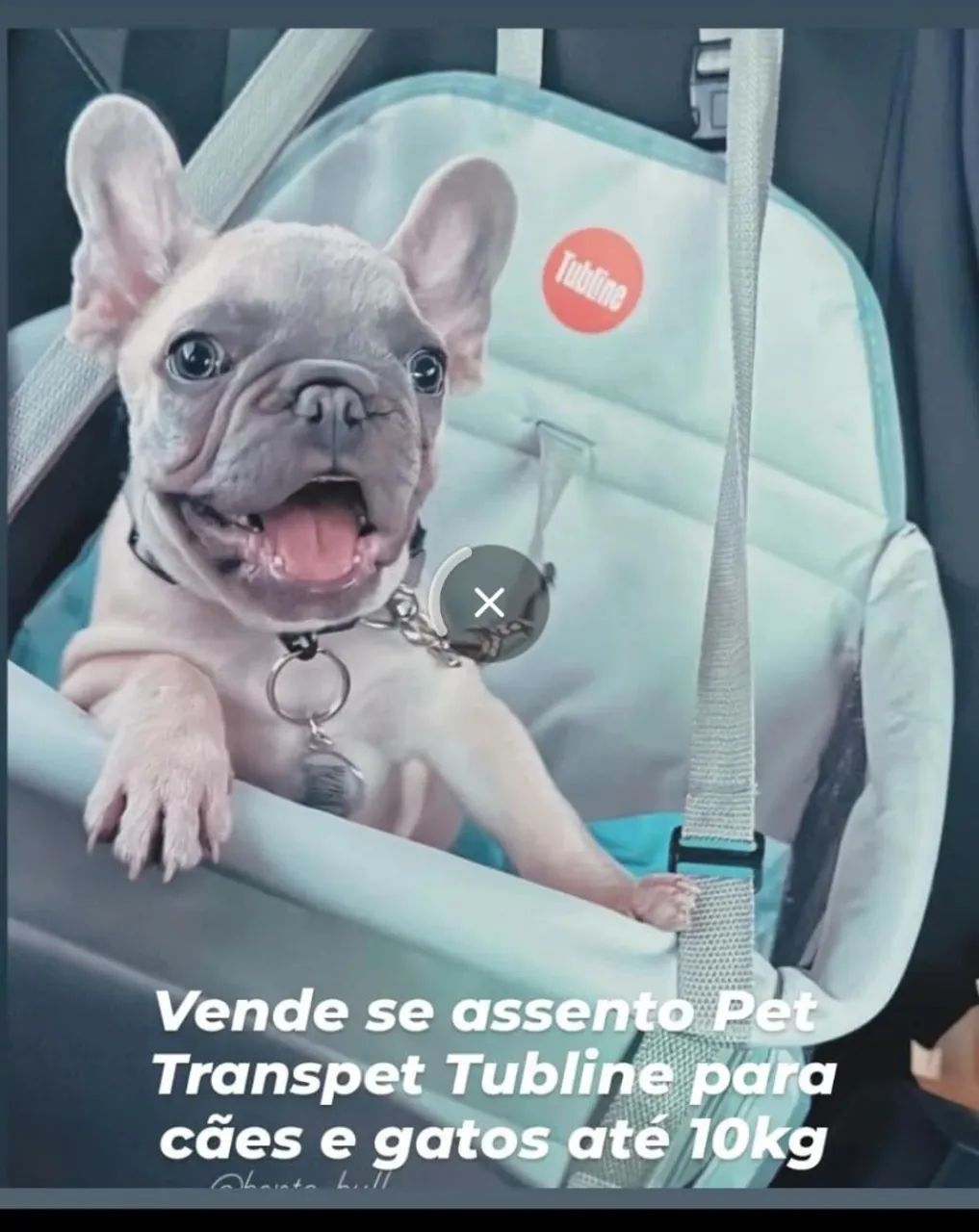 Cadeirinha pra cachorro