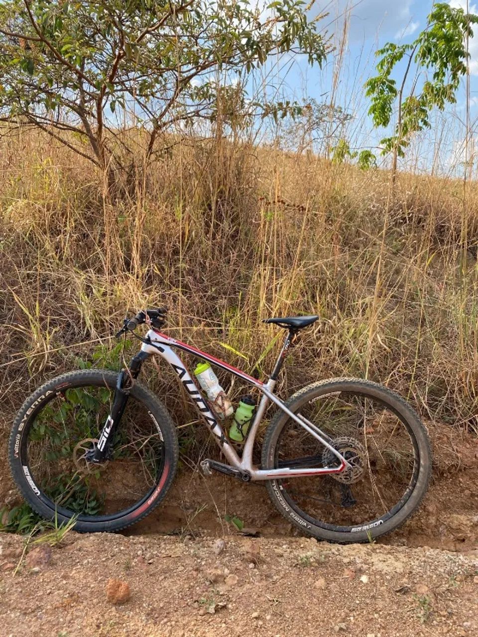 Audax auge Lt Edição Limitada Carbono - Foto 4