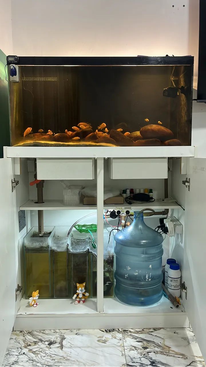 Aquário completo 