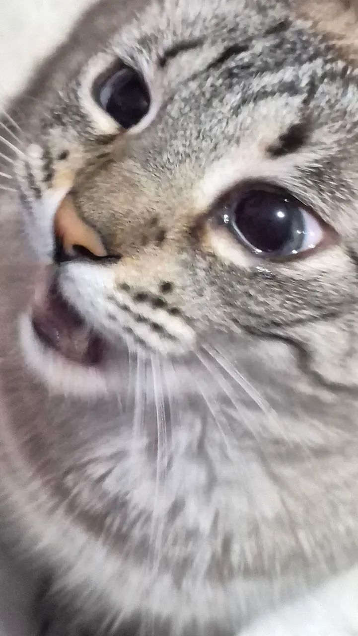 Samsung Galaxy Tab A7