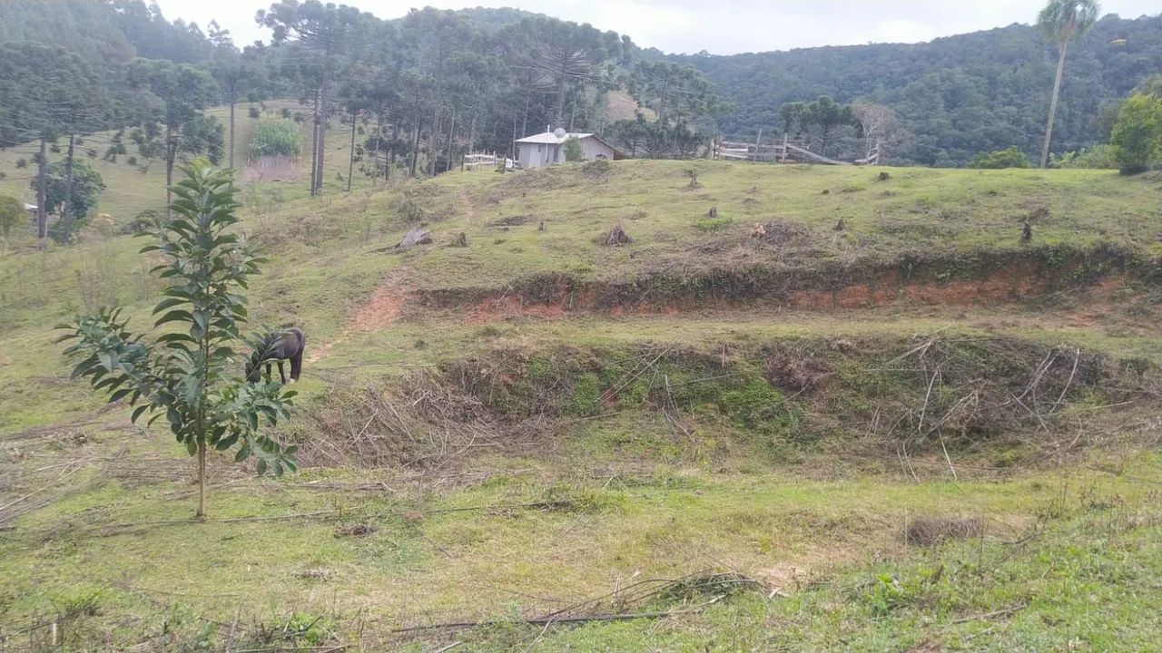 Vendo Chacara Itaiacoca  do lado de Ponta Grossa - Foto 3