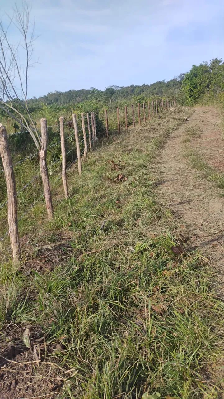 Terreno  - Foto 2