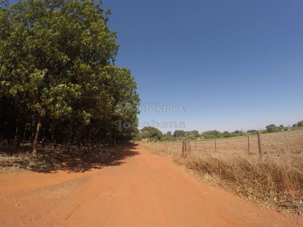 Sítio | Venda | Fronteira - Foto 3