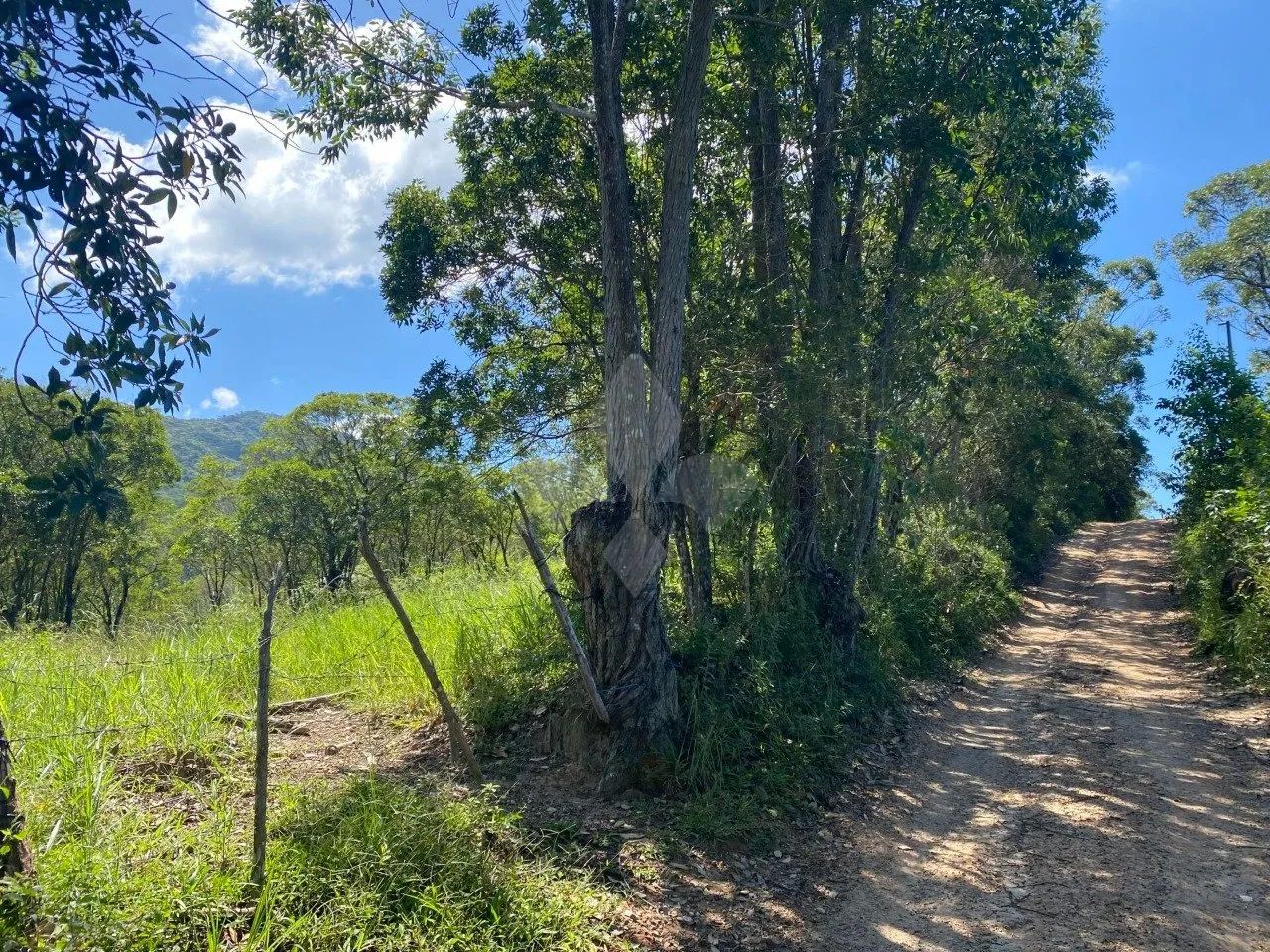 Área à venda em Garopaba com 14.061 m² - Foto 4