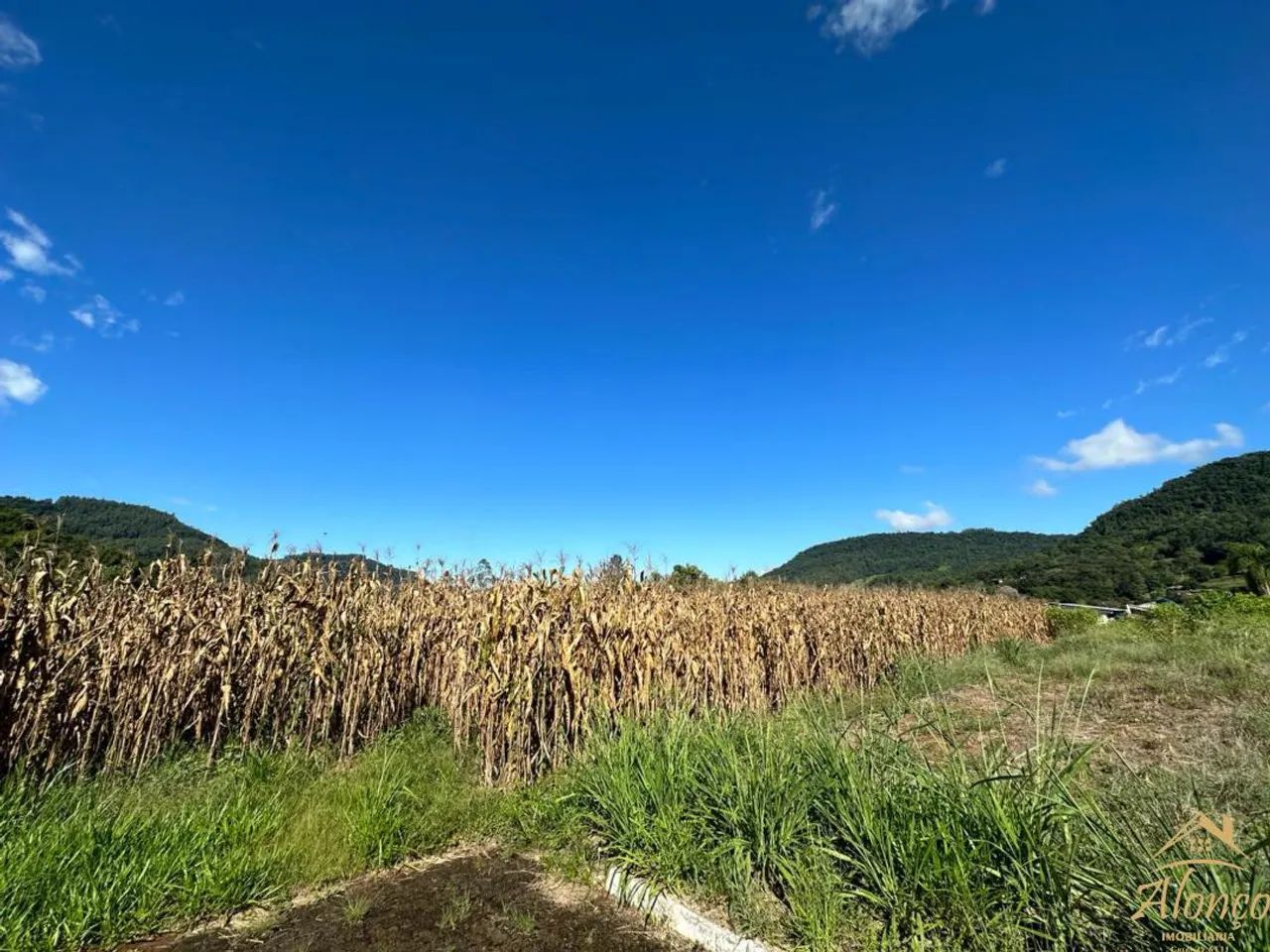 área de terra com 5.300 m², no centro da Cidade de Picada Café RS! REF: 1439 - Foto 2