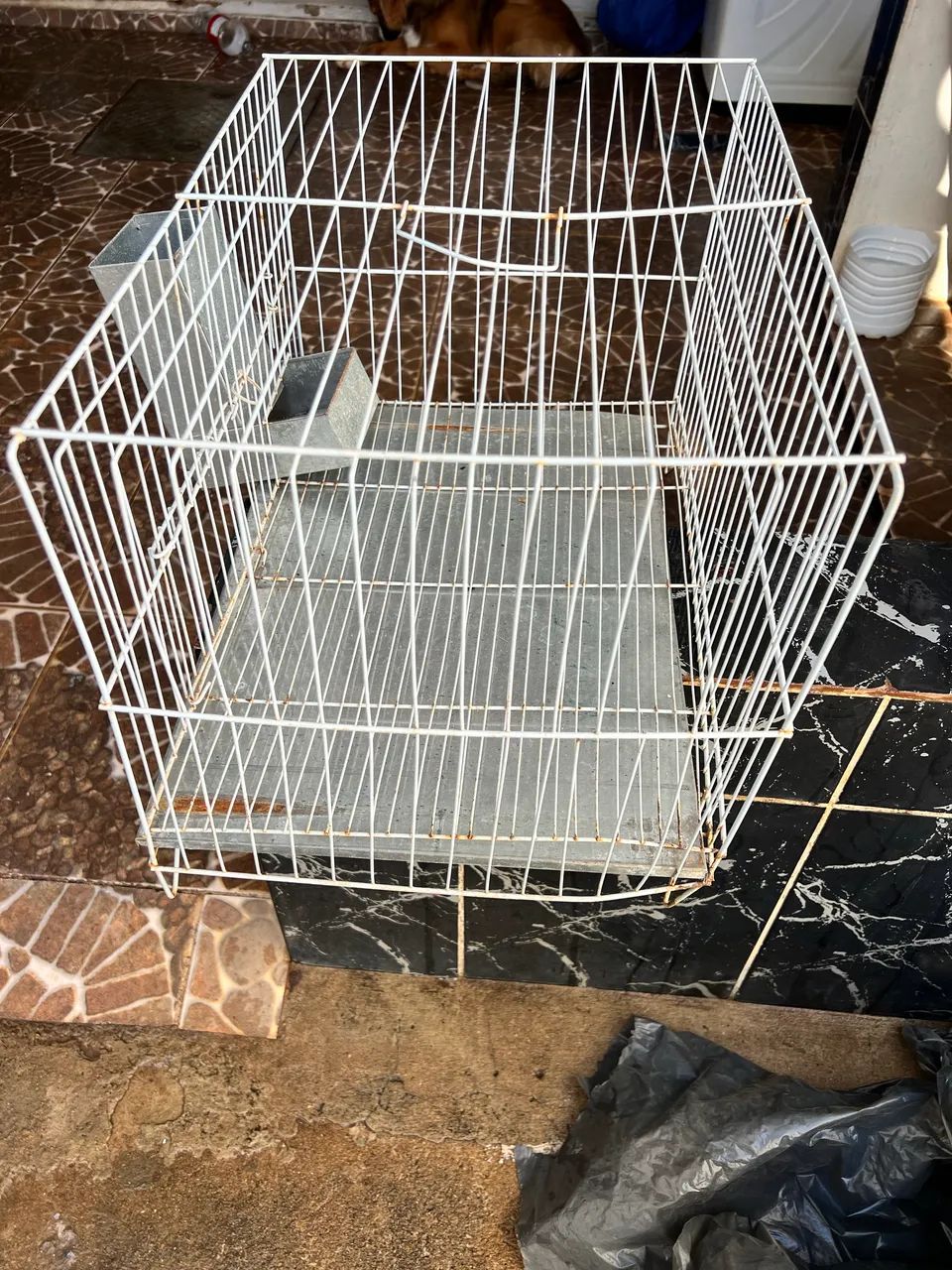 Gaiola de pássaros e hamster