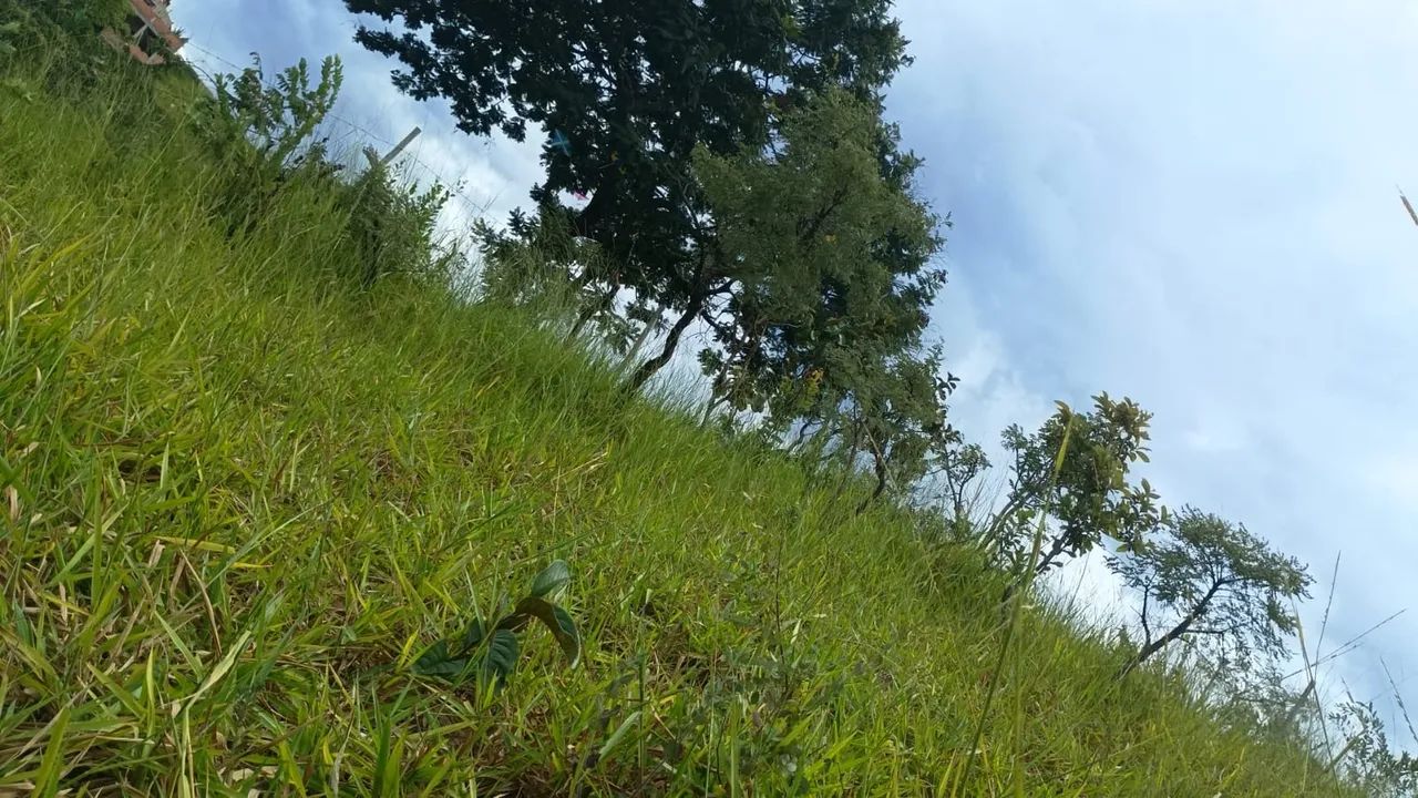 Lote 200m  - Foto 3