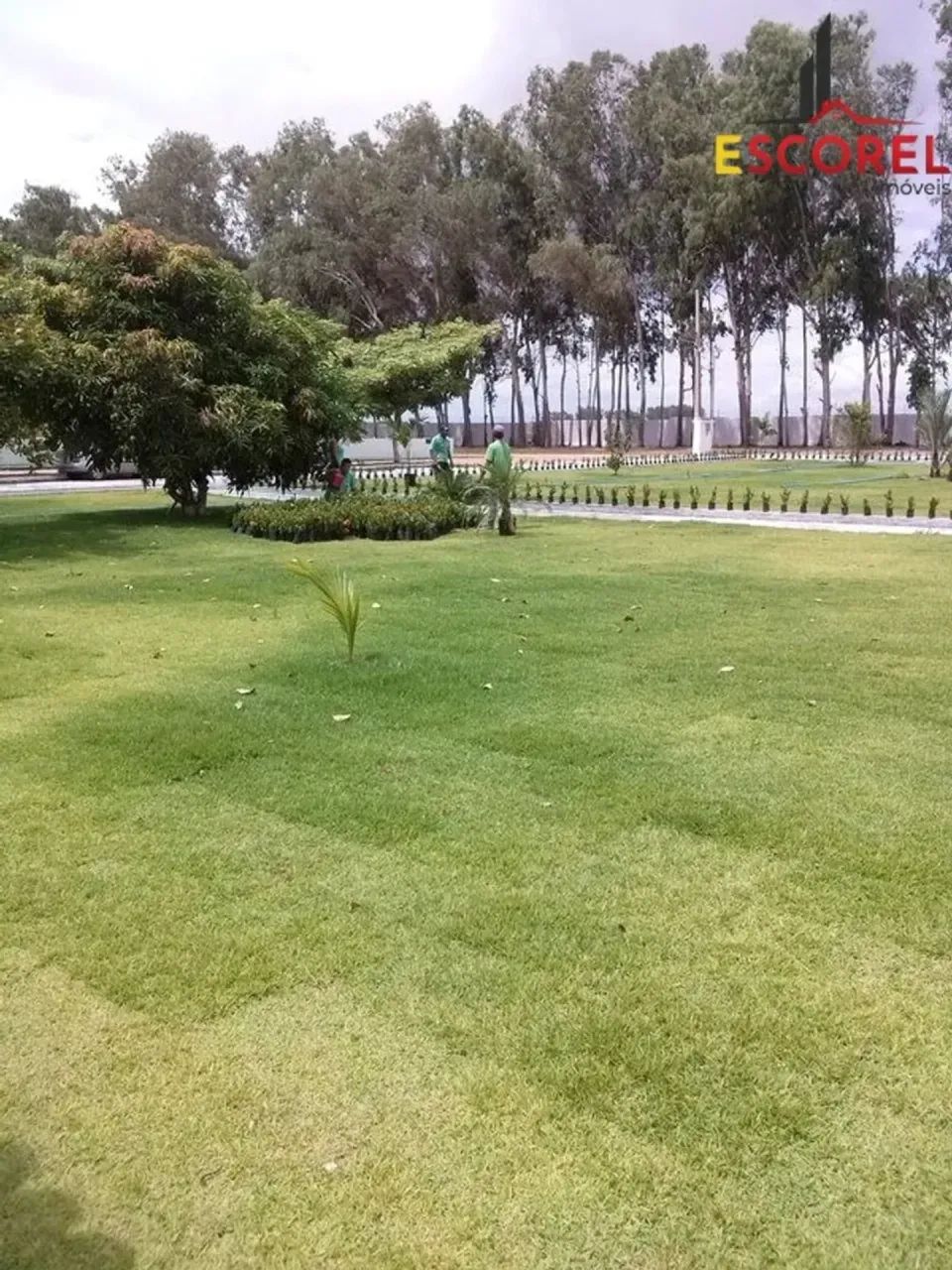 Imóvel para venda com 600 m² com 03 quartos em Cruz do Espírito Santo - PB - Foto 3