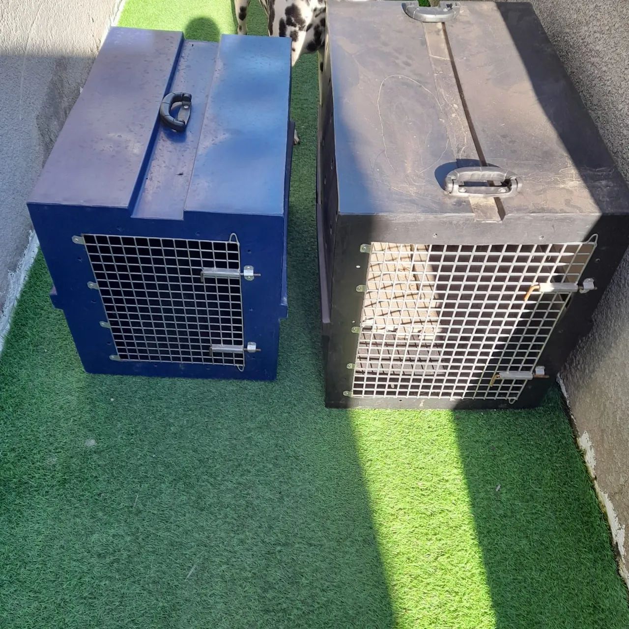Caixa de transporte de pets