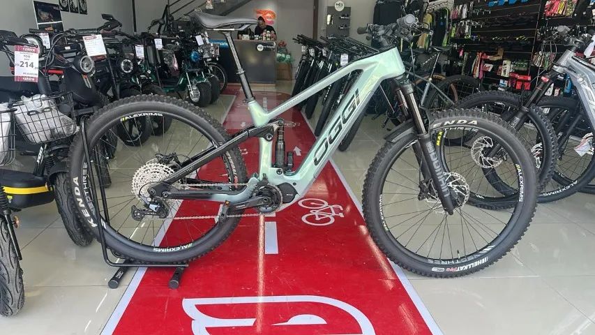 Oggi Potenza E-Bike - 800km