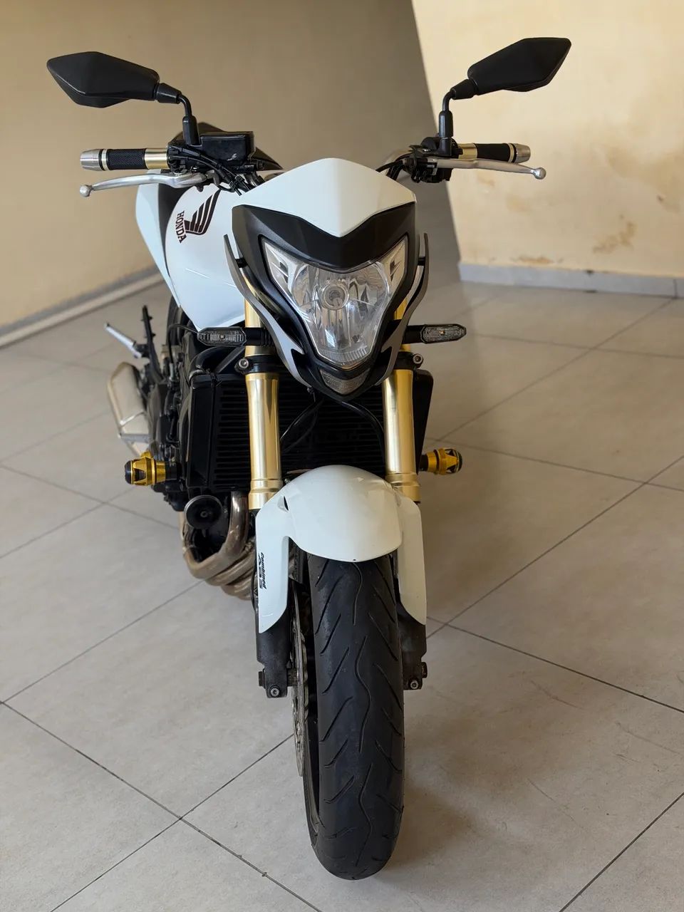 Hornet 2012/2013 - Foto 2