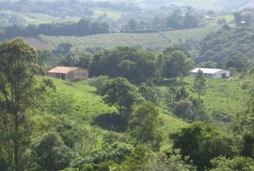 Sítio de 9 alqueires no município de Guapiara-SP - Foto 5