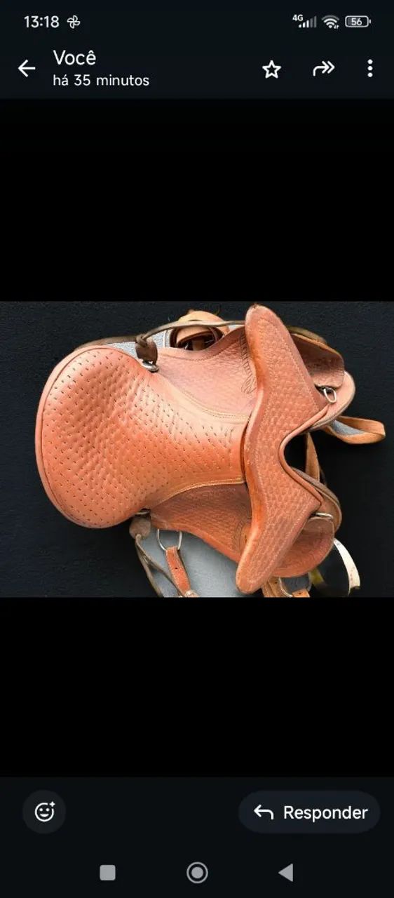 Sela de cabeça  - Foto 3