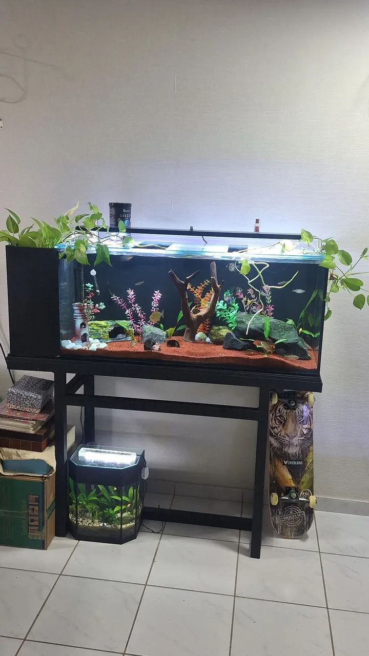 Aquario 200 litros - Foto 3