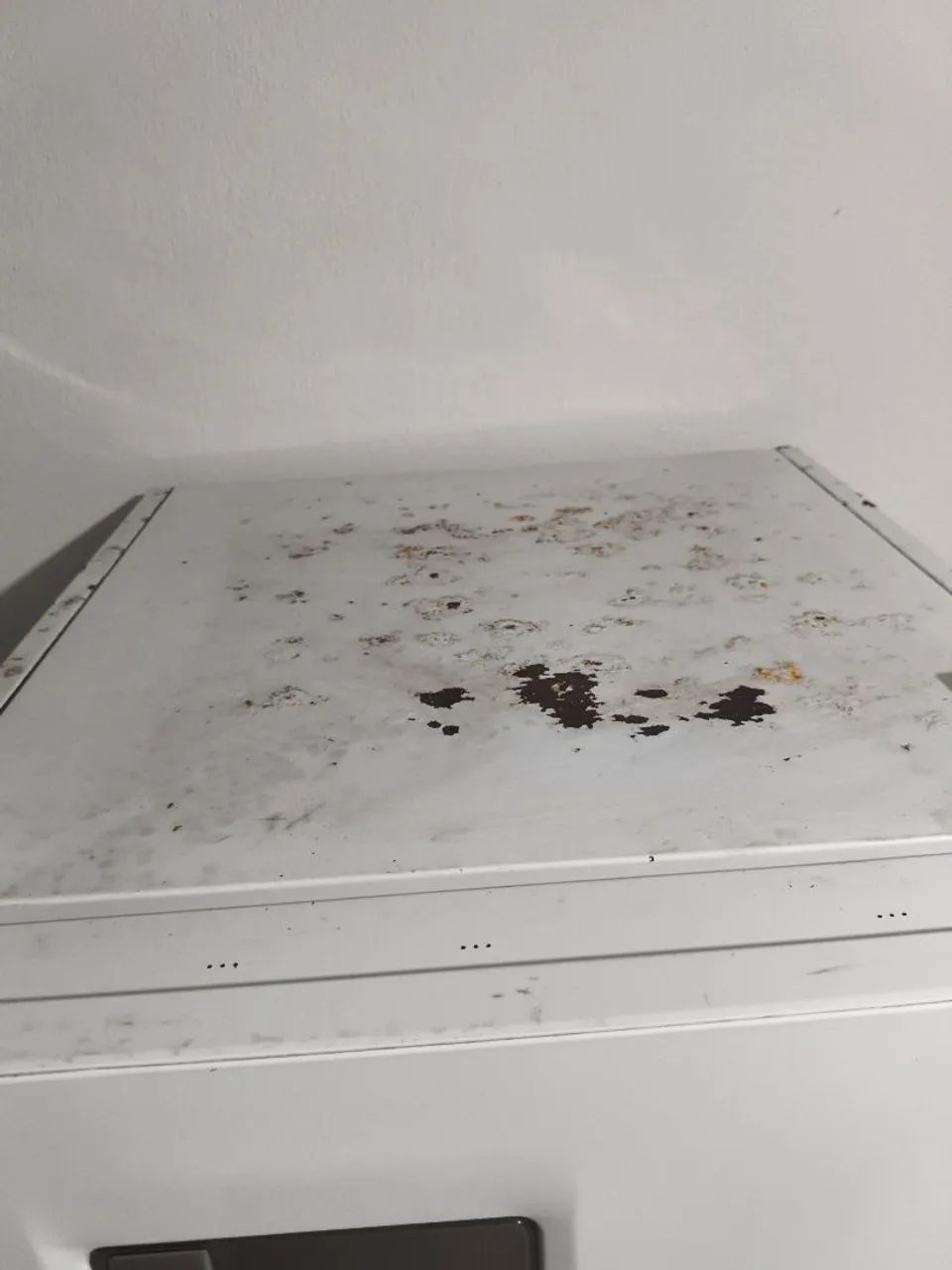 Geladeira Eletrolux  - Foto 4