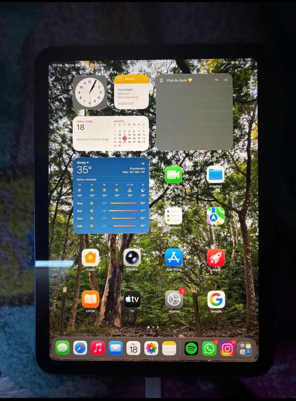 iPad 10° geração 