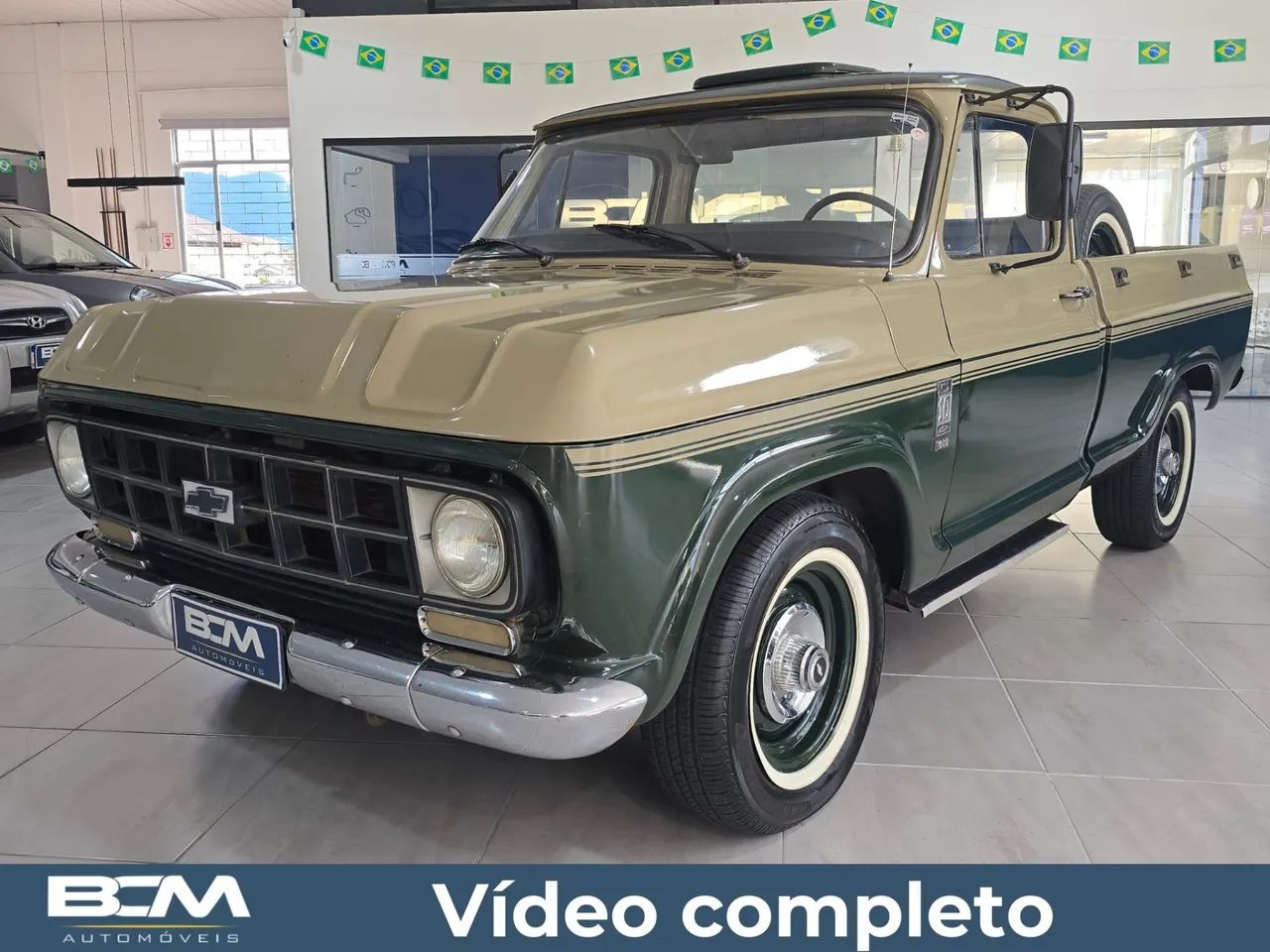 Chevrolet D-10 Diesel 1984