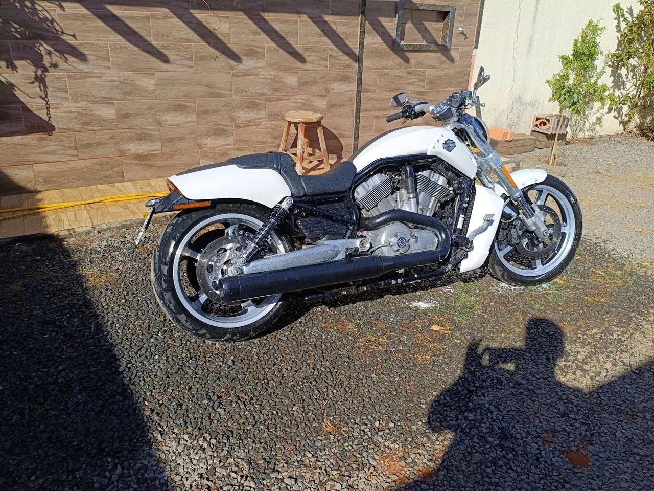 Harley v rod muscle  - Foto 3