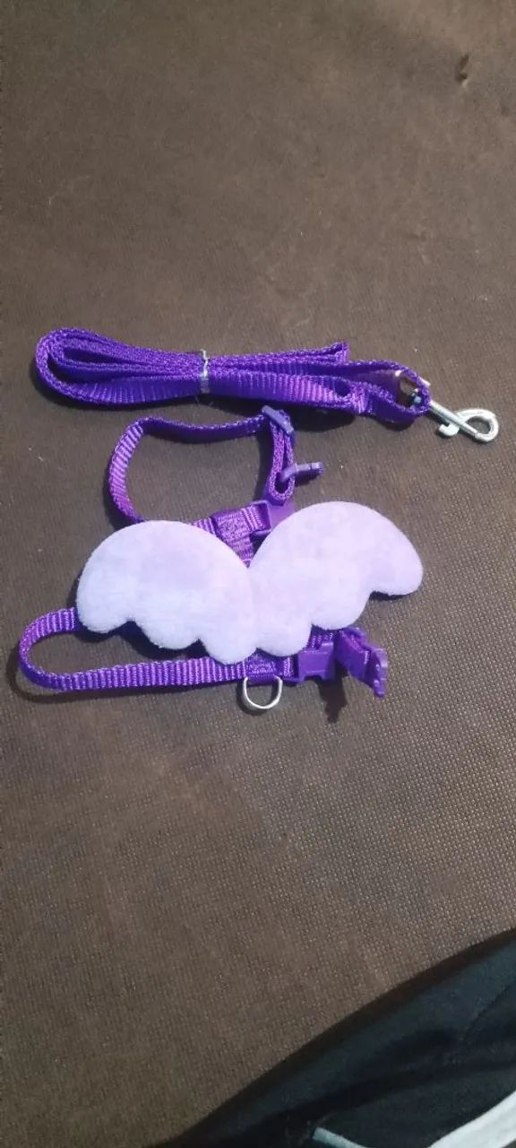 Coleira Peitoral Anjo para Gato e cães raças pequenas e minis Colorido Ajustável com Guia - Foto 4